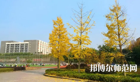 重慶幼兒師范高等?？茖W(xué)校梨園校區(qū)2023年是幾本