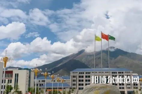 拉薩師范高等?？茖W(xué)校2023年招生代碼
