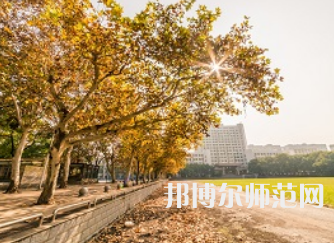 中南師范大學20232023年有哪些專業(yè)