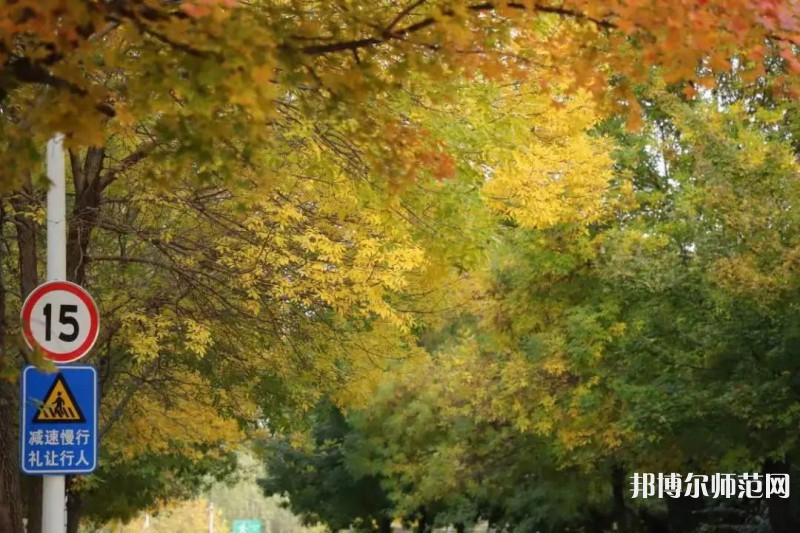 濟南幼兒師范高等?？茖W(xué)校2023年有哪些專業(yè)