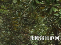 湖南師范大學(xué)樹(shù)達(dá)學(xué)院2023年學(xué)費(fèi)、收費(fèi)多少