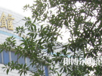 湖南師范大學(xué)樹達學(xué)院2023年怎么樣、好不好
