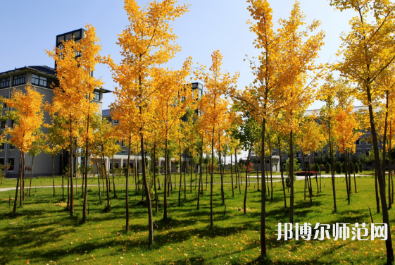 寧夏民族職業(yè)技術(shù)師范學(xué)院2023年怎么樣、好不好 