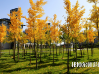 瀘州幼師職業(yè)技術(shù)學(xué)校2023年學(xué)費(fèi)、收費(fèi)多少