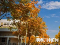 南京師范大學(xué)泰州學(xué)院2023年報(bào)名條件、招生要求、招生對象