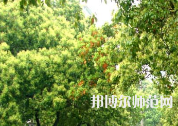 衡陽師范學(xué)院南岳學(xué)院2023年怎么樣、好不好