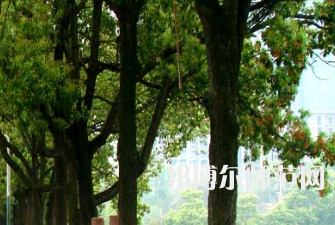 衡陽師范學(xué)院南岳學(xué)院2023年怎么樣、好不好