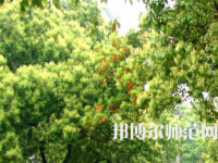 衡陽(yáng)師范學(xué)院南岳學(xué)院2023年怎么樣、好不好