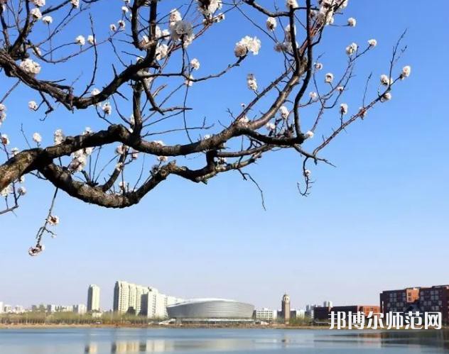 天津理工師范大學(xué)2023年報名條件、招生要求、招生對象