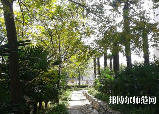 西北大學(xué)師范學(xué)院桃園校區(qū)2023年怎么樣、好不好