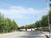 西北大學(xué)師范學(xué)院太白校區(qū)2023年報(bào)名條件、招生要求、招生對(duì)象