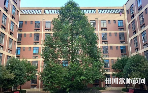 四川師范大學(xué)成都學(xué)院眉山校區(qū)2023年怎么樣、好不好