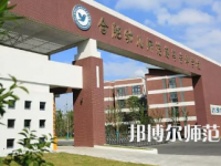 2023年合肥幼兒師范高等?？茖W(xué)校是民辦大學(xué)還是公辦