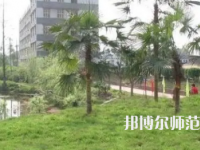 2023年瀘州天宇幼師中等職業(yè)技術(shù)學(xué)校報(bào)名條件、招生對(duì)象