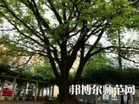 2023年興義民族師范學(xué)院電子科學(xué)與技術(shù)專(zhuān)業(yè)介紹