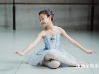 南充電子工業(yè)幼兒師范學(xué)校介紹、地址